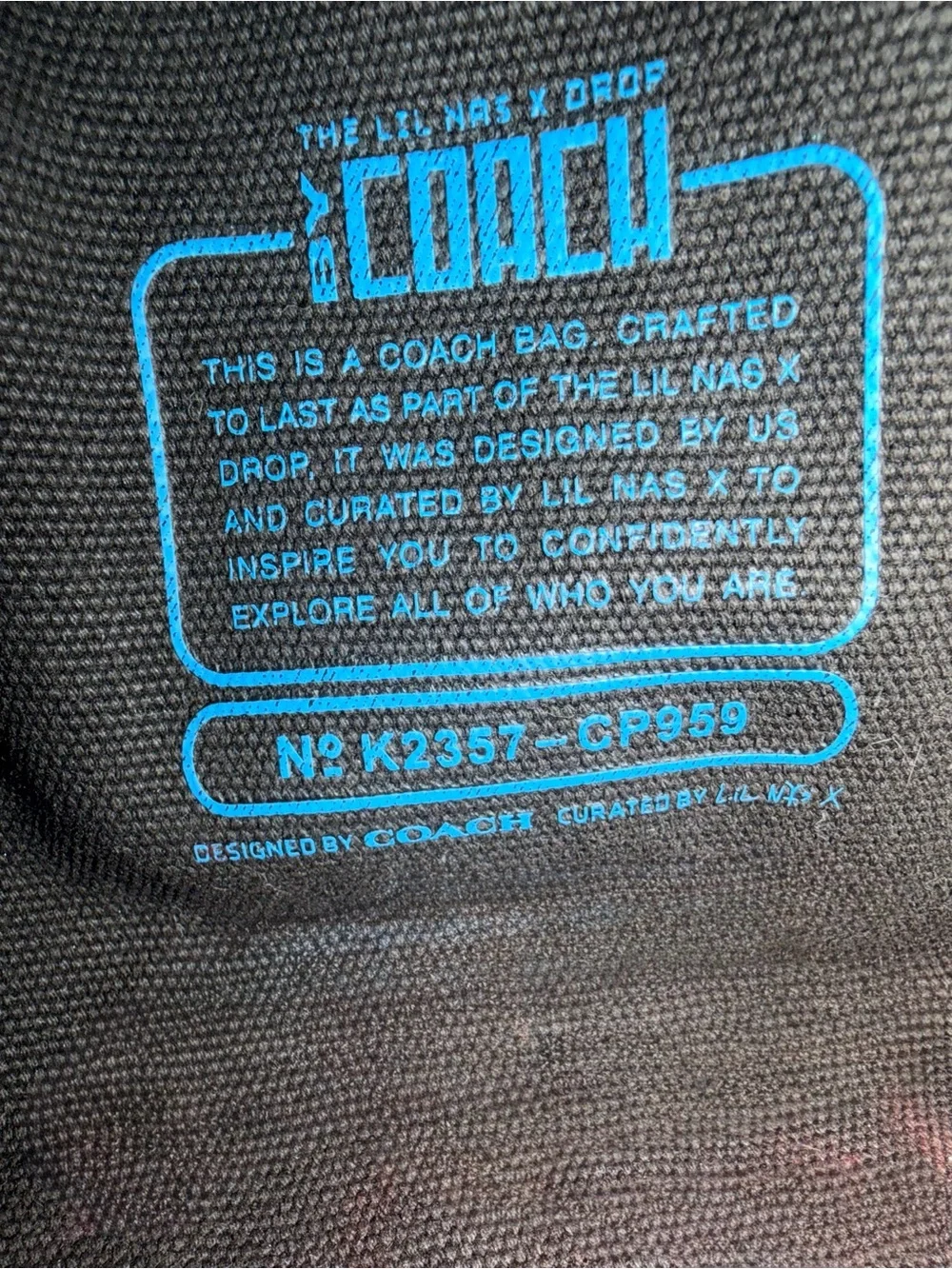 COACH LIL NAS X DROP canvas kitty tote 💙 - Picture 4 of 8